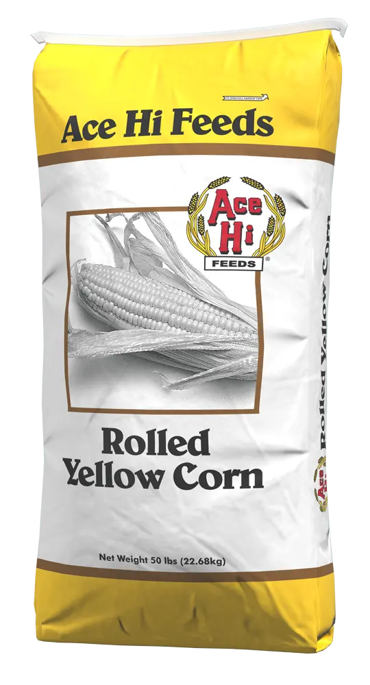 Rolled Yellow Corn