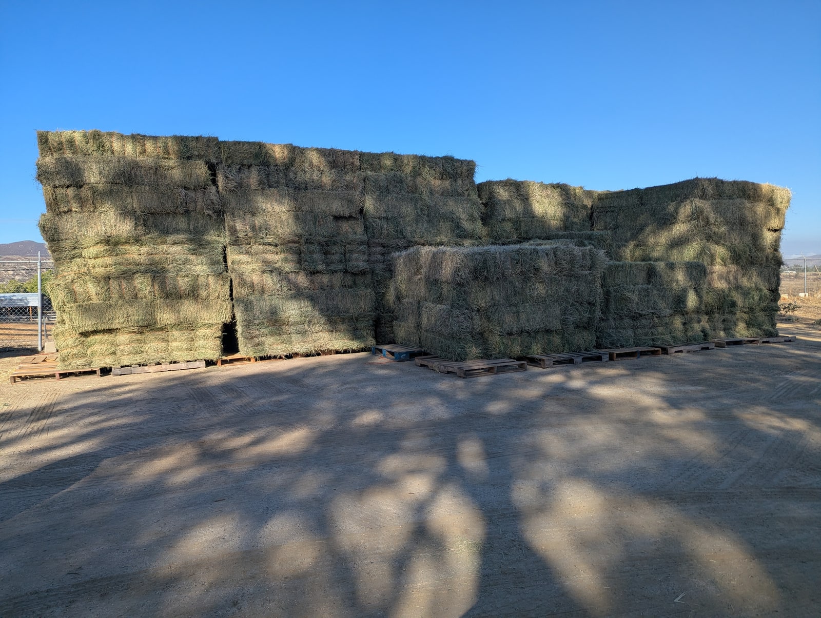 Alfalfa Bermuda Mix - Heavy Bales