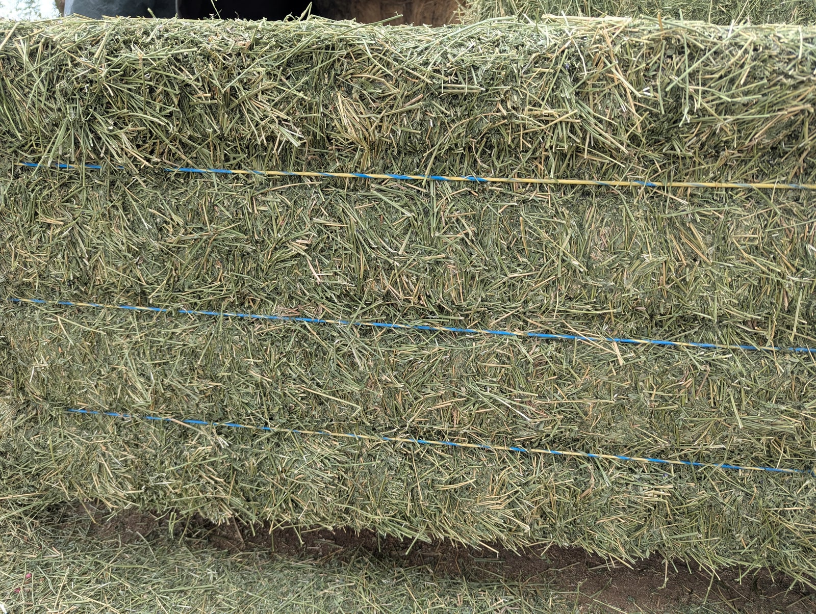 Premium Alfalfa Hay